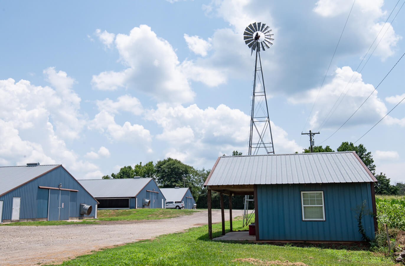 multiple farm houses shown during daytime