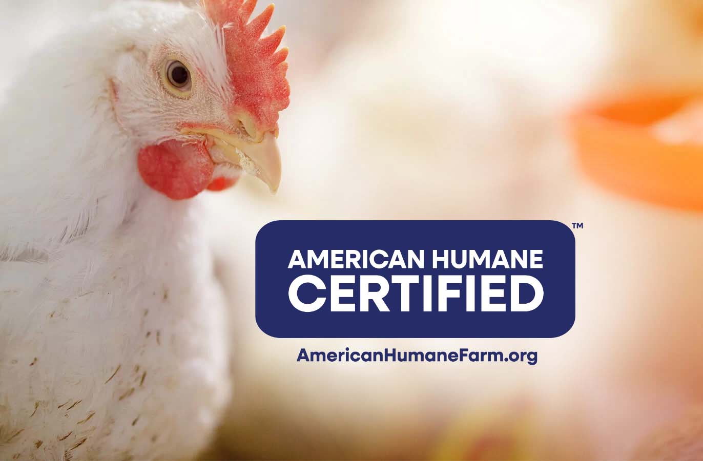 third party Verified