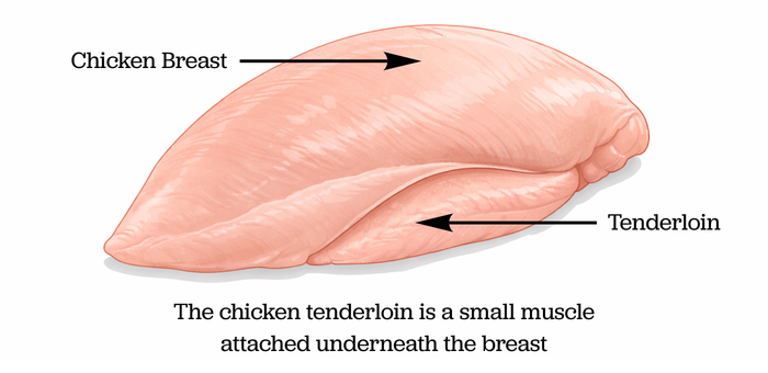 Illustration showing a chicken breast with the tenderloin muscle attached underneath.