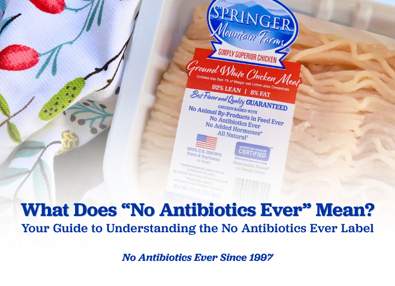 What Does No Antibiotics Ever Mean for Chicken? - article image